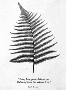 Cidade Nua / ilustração de Francesco Cortez Pinto